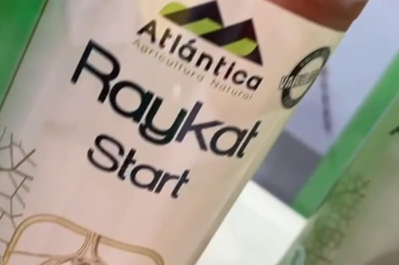 Райкан старт